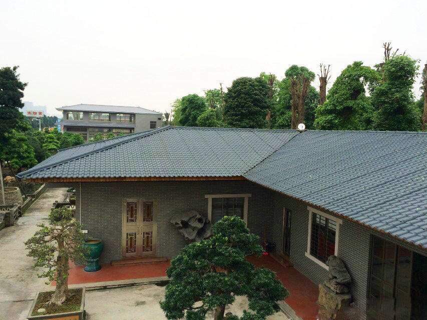 農(nóng)村自建房蓋合成樹(shù)脂瓦，美得不要不要的！